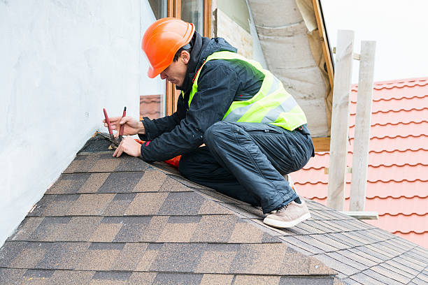 Best Roof Gutter Cleaning  in Hudson, IA